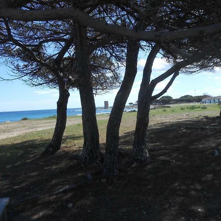 Appartamento Vecchia Pineta San Giovanni  外观 照片