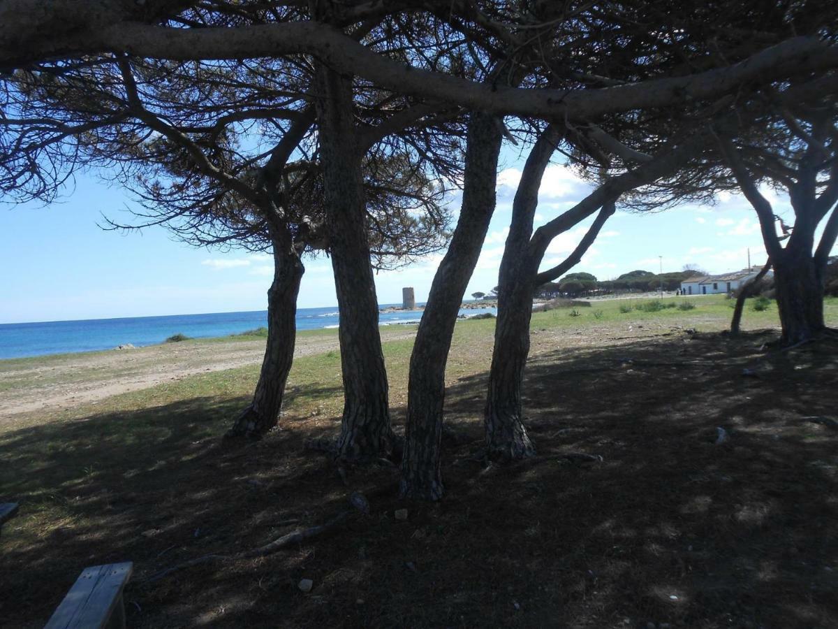 Appartamento Vecchia Pineta San Giovanni  外观 照片